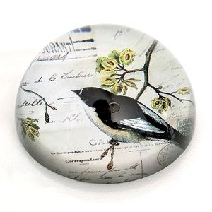 Paper Weight Glass Bird | Creativeco Op